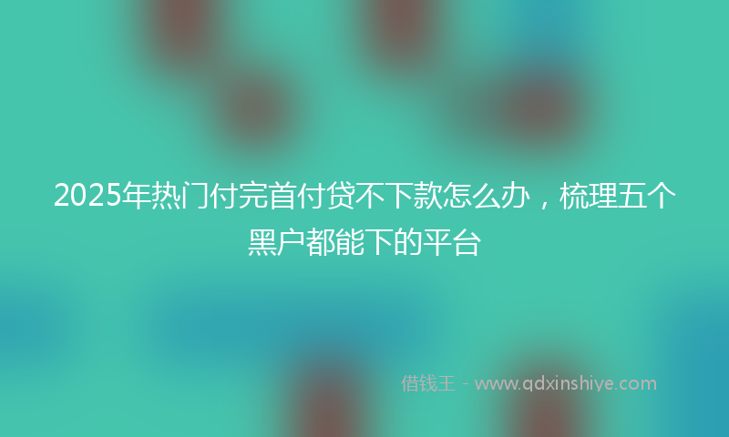 2025年热门付完首付贷不下款怎么办，梳理五个黑户都能下的平台
