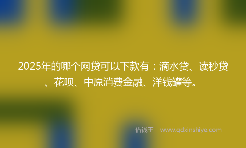 2025年的哪个网贷可以下款有：滴水贷、读秒贷、花呗、中原消费金融、洋钱罐等。