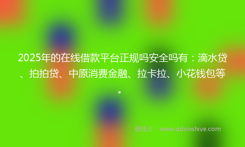 2025年的在线借款平台正规吗安全吗有：滴水贷、拍拍贷、中原消费金融、拉卡拉、小花钱包等。