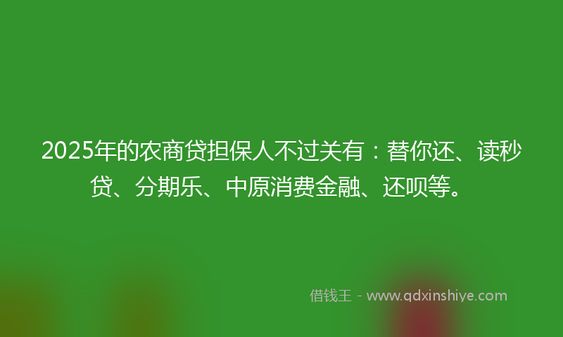 2025年的农商贷担保人不过关有：替你还、读秒贷、分期乐、中原消费金融、还呗等。