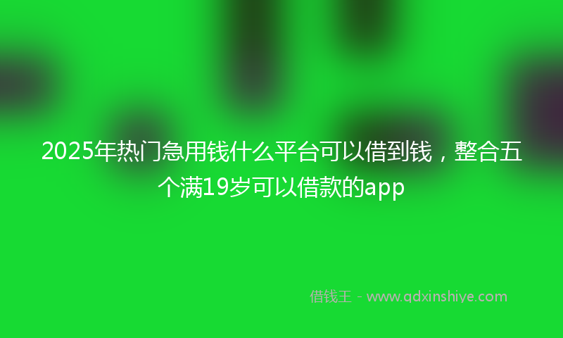 2025年热门急用钱什么平台可以借到钱，整合五个满19岁可以借款的app