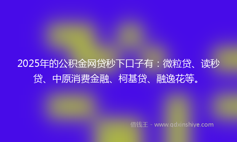 2025年的公积金网贷秒下口子有：微粒贷、读秒贷、中原消费金融、柯基贷、融逸花等。