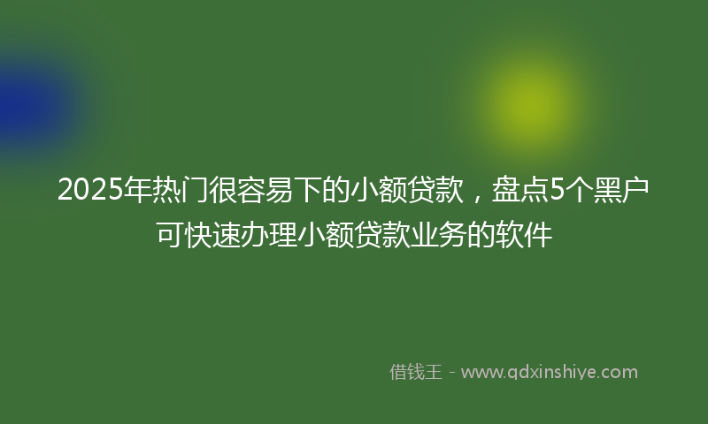 2025年热门很容易下的小额贷款，盘点5个黑户可快速办理小额贷款业务的软件