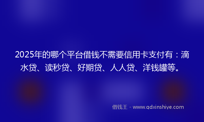 2025年的哪个平台借钱不需要信用卡支付有：滴水贷、读秒贷、好期贷、人人贷、洋钱罐等。