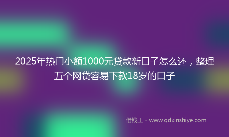 2025年热门小额1000元贷款新口子怎么还，整理五个网贷容易下款18岁的口子