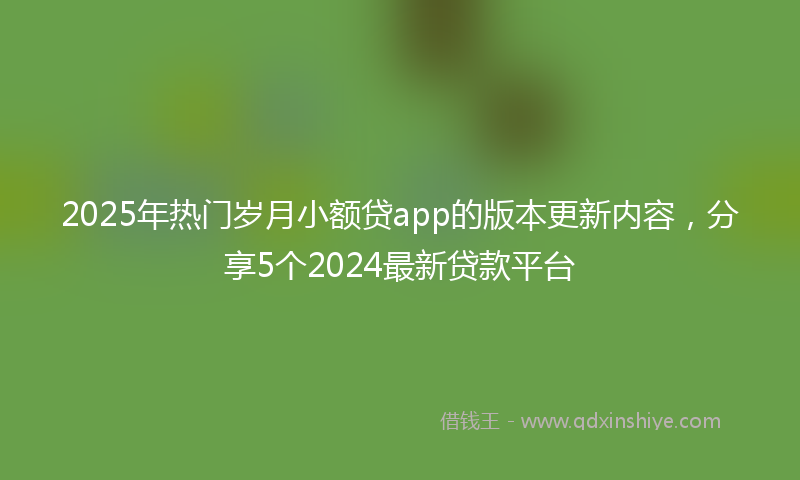 2025年热门岁月小额贷app的版本更新内容，分享5个2024最新贷款平台