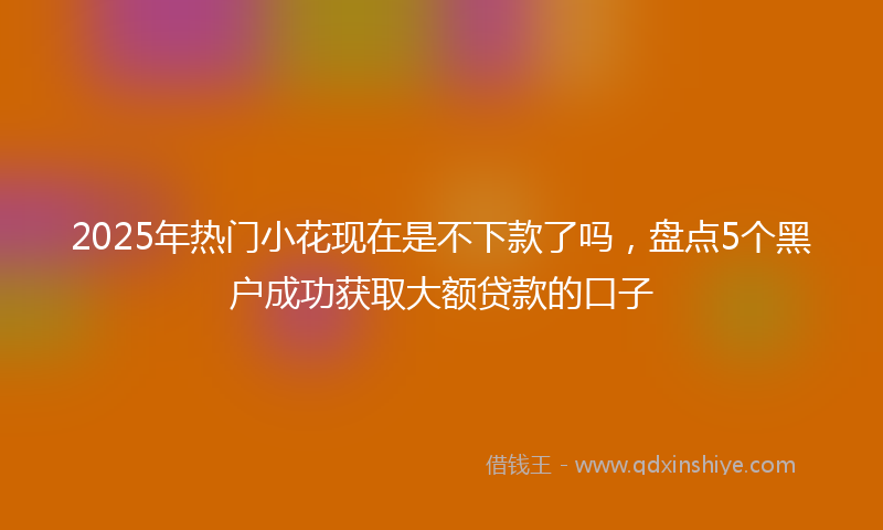2025年热门小花现在是不下款了吗，盘点5个黑户成功获取大额贷款的口子