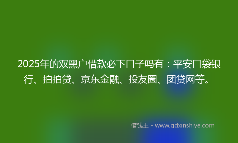 2025年的双黑户借款必下口子吗有：平安口袋银行、拍拍贷、京东金融、投友圈、团贷网等。