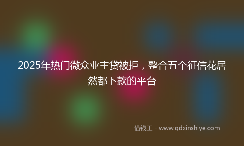 2025年热门微众业主贷被拒，整合五个征信花居然都下款的平台