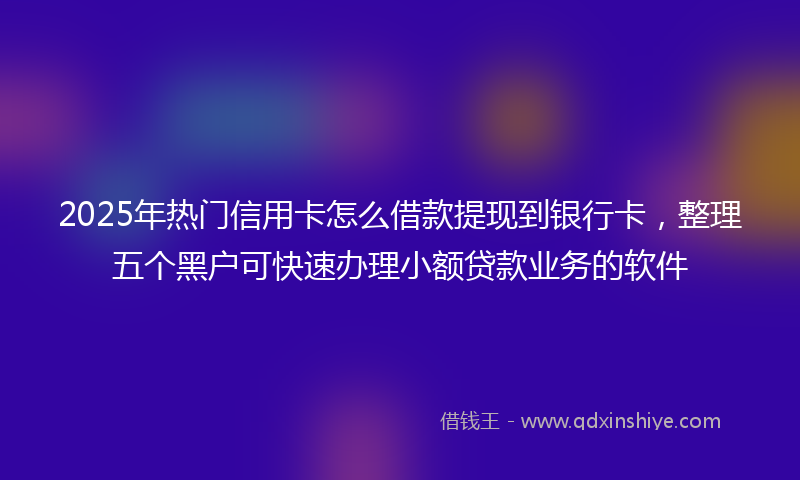 2025年热门信用卡怎么借款提现到银行卡，整理五个黑户可快速办理小额贷款业务的软件