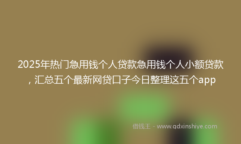 2025年热门急用钱个人贷款急用钱个人小额贷款，汇总五个最新网贷口子今日整理这五个app