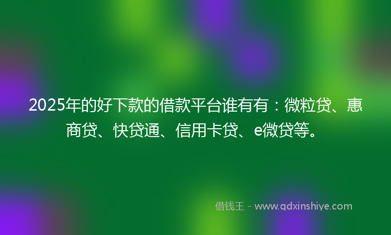 2025年的好下款的借款平台谁有有：微粒贷、惠商贷、快贷通、信用卡贷、e微贷等。
