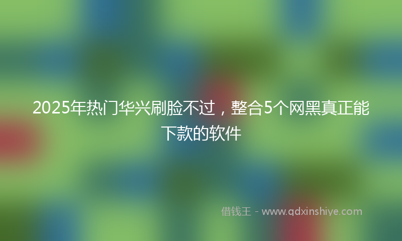 2025年热门华兴刷脸不过，整合5个网黑真正能下款的软件