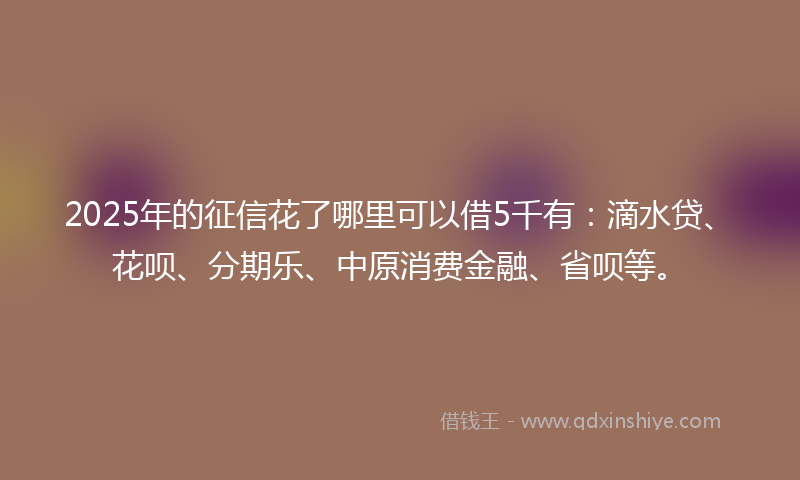 2025年的征信花了哪里可以借5千有：滴水贷、花呗、分期乐、中原消费金融、省呗等。