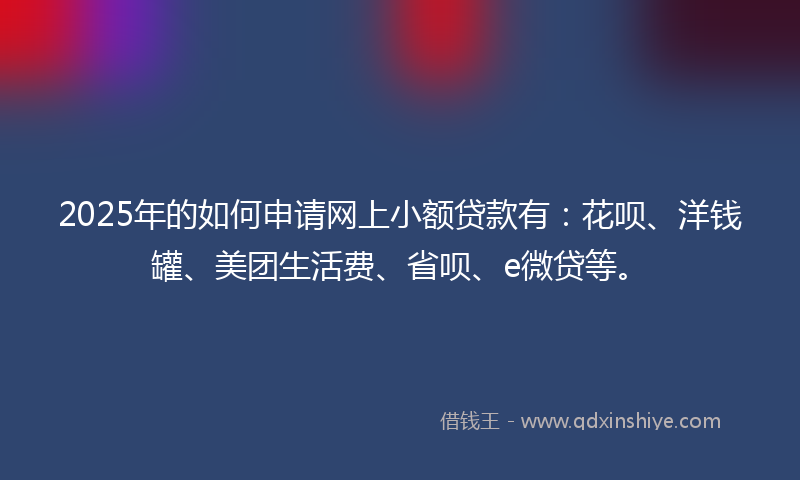 2025年的如何申请网上小额贷款有：花呗、洋钱罐、美团生活费、省呗、e微贷等。