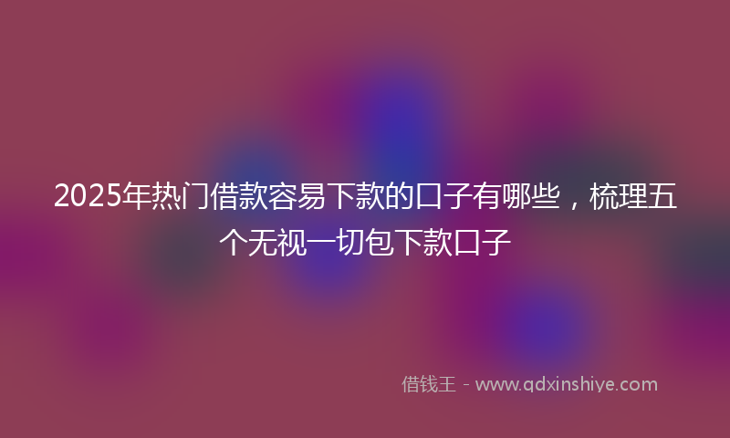 2025年热门借款容易下款的口子有哪些，梳理五个无视一切包下款口子