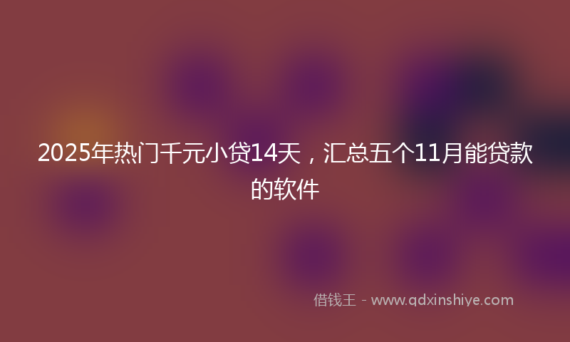 2025年热门千元小贷14天，汇总五个11月能贷款的软件