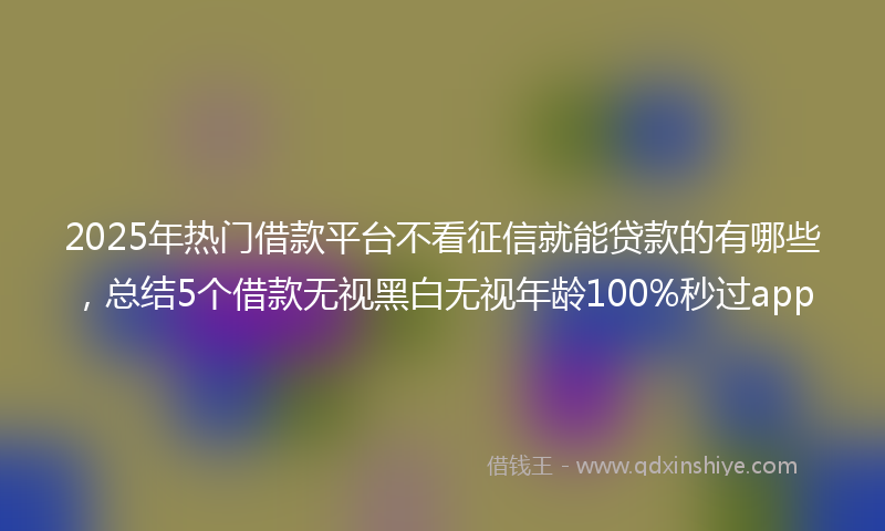 2025年热门借款平台不看征信就能贷款的有哪些，总结5个借款无视黑白无视年龄100%秒过app