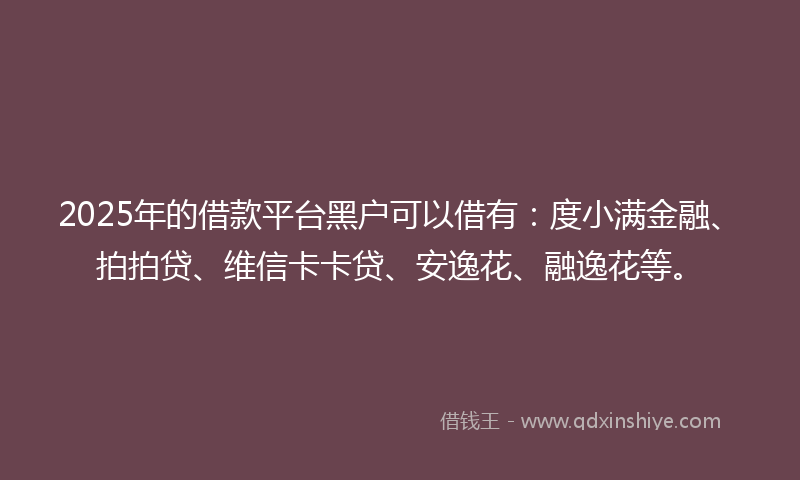 2025年的借款平台黑户可以借有：度小满金融、拍拍贷、维信卡卡贷、安逸花、融逸花等。