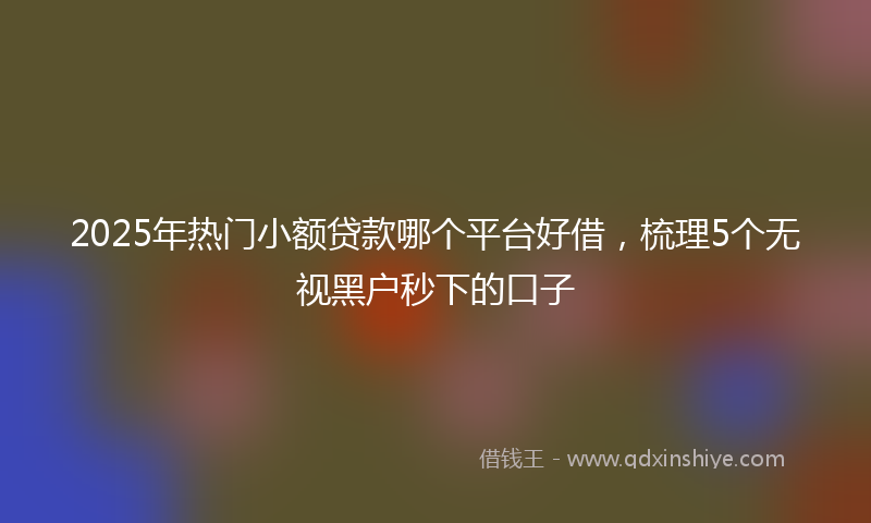 2025年热门小额贷款哪个平台好借，梳理5个无视黑户秒下的口子
