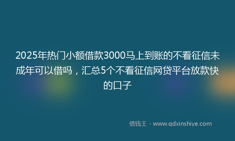 2025年热门小额借款3000马上到账的不看征信未成年可以借吗，汇总5个不看征信网贷平台放款快的口子
