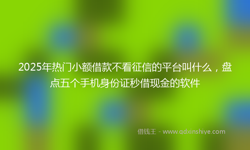 2025年热门小额借款不看征信的平台叫什么，盘点五个手机身份证秒借现金的软件