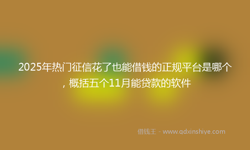 2025年热门征信花了也能借钱的正规平台是哪个，概括五个11月能贷款的软件