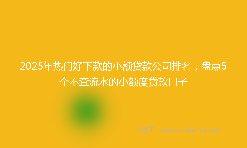 2025年热门好下款的小额贷款公司排名，盘点5个不查流水的小额度贷款口子