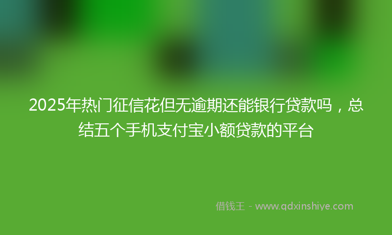 2025年热门征信花但无逾期还能银行贷款吗，总结五个手机支付宝小额贷款的平台