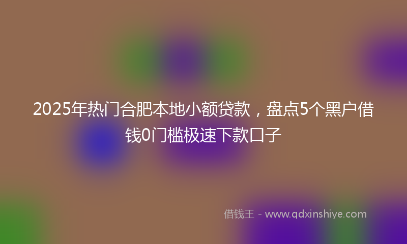 2025年热门合肥本地小额贷款，盘点5个黑户借钱0门槛极速下款口子