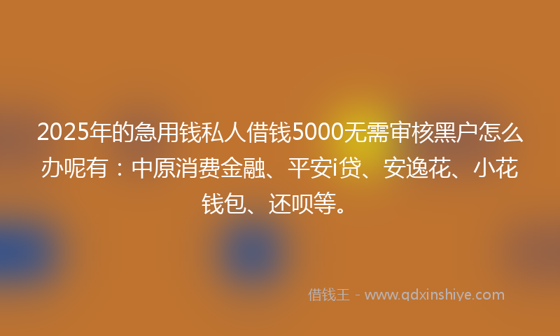 2025年的急用钱私人借钱5000无需审核黑户怎么办呢有：中原消费金融、平安i贷、安逸花、小花钱包、还呗等。