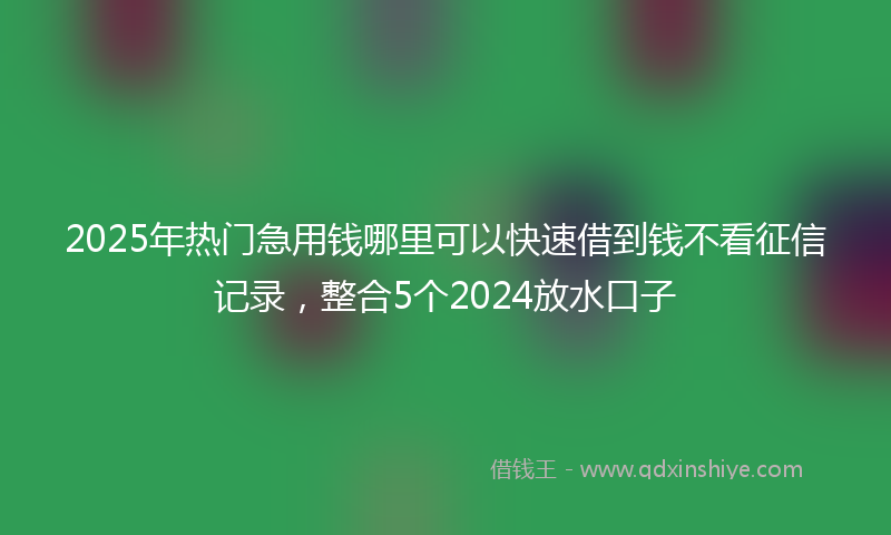 2025年热门急用钱哪里可以快速借到钱不看征信记录，整合5个2024放水口子