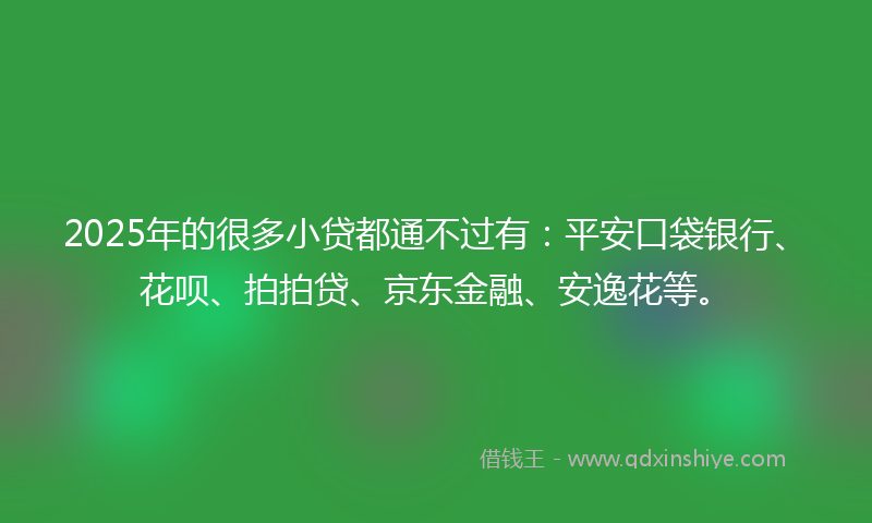 2025年的很多小贷都通不过有：平安口袋银行、花呗、拍拍贷、京东金融、安逸花等。