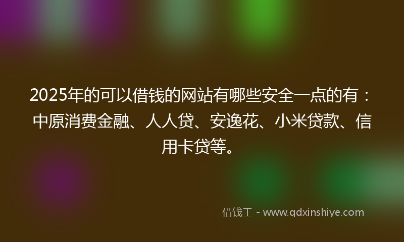 2025年的可以借钱的网站有哪些安全一点的有：中原消费金融、人人贷、安逸花、小米贷款、信用卡贷等。