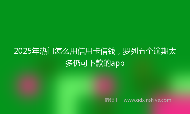 2025年热门怎么用信用卡借钱，罗列五个逾期太多仍可下款的app