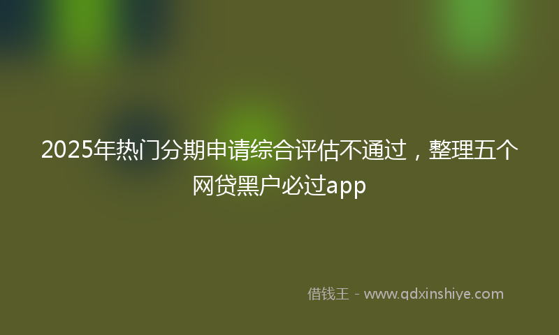 2025年热门分期申请综合评估不通过，整理五个网贷黑户必过app