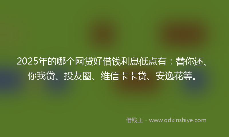2025年的哪个网贷好借钱利息低点有：替你还、你我贷、投友圈、维信卡卡贷、安逸花等。