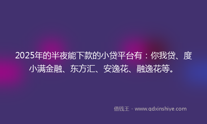 2025年的半夜能下款的小贷平台有：你我贷、度小满金融、东方汇、安逸花、融逸花等。