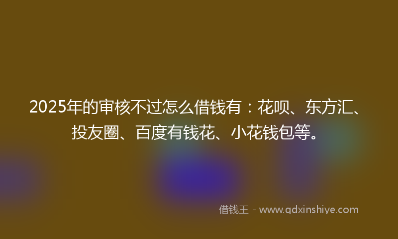 2025年的审核不过怎么借钱有：花呗、东方汇、投友圈、百度有钱花、小花钱包等。