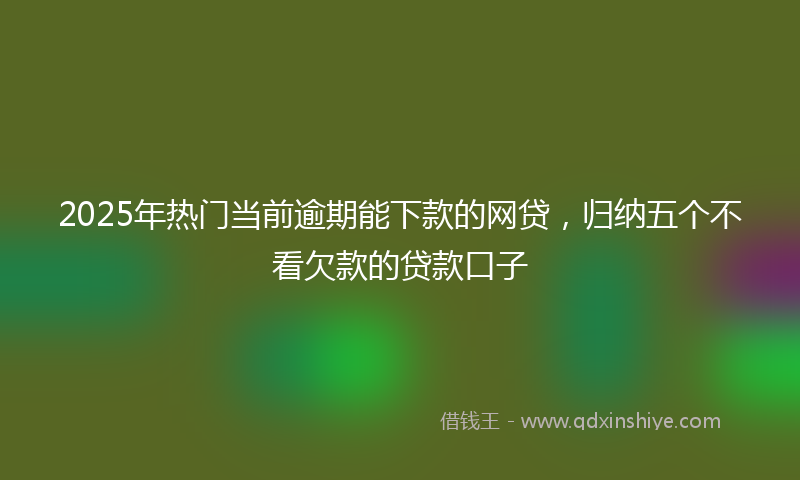 2025年热门当前逾期能下款的网贷，归纳五个不看欠款的贷款口子