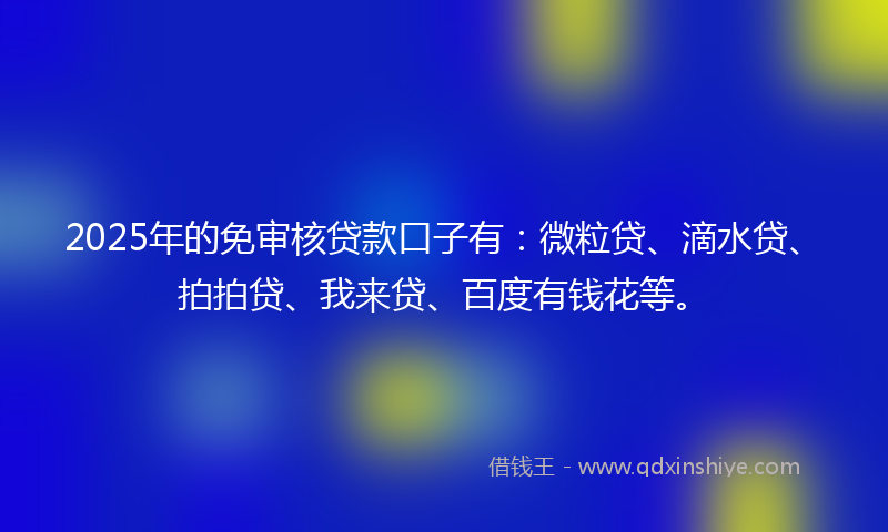 2025年的免审核贷款口子有：微粒贷、滴水贷、拍拍贷、我来贷、百度有钱花等。