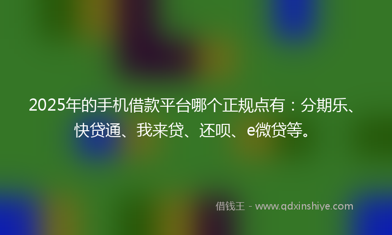 2025年的手机借款平台哪个正规点有：分期乐、快贷通、我来贷、还呗、e微贷等。