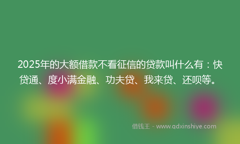 2025年的大额借款不看征信的贷款叫什么有：快贷通、度小满金融、功夫贷、我来贷、还呗等。