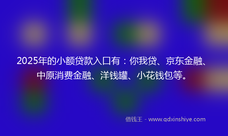 2025年的小额贷款入口有：你我贷、京东金融、中原消费金融、洋钱罐、小花钱包等。