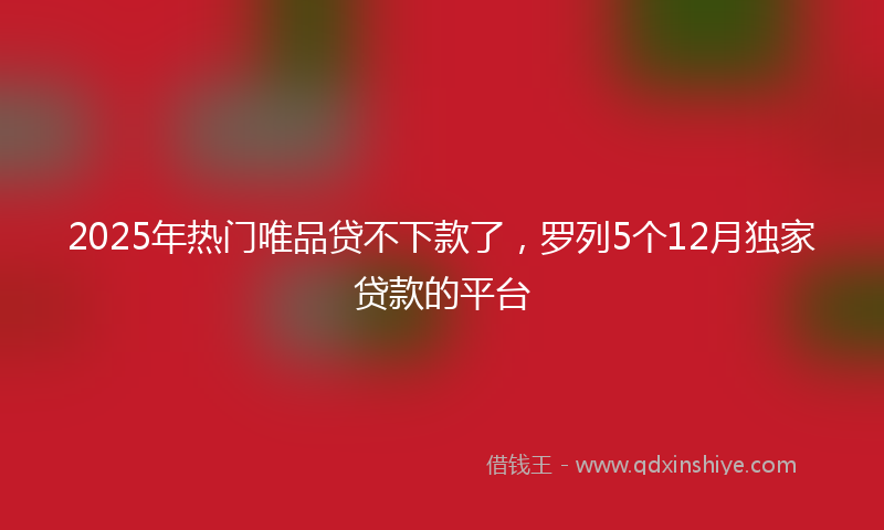 2025年热门唯品贷不下款了，罗列5个12月独家贷款的平台