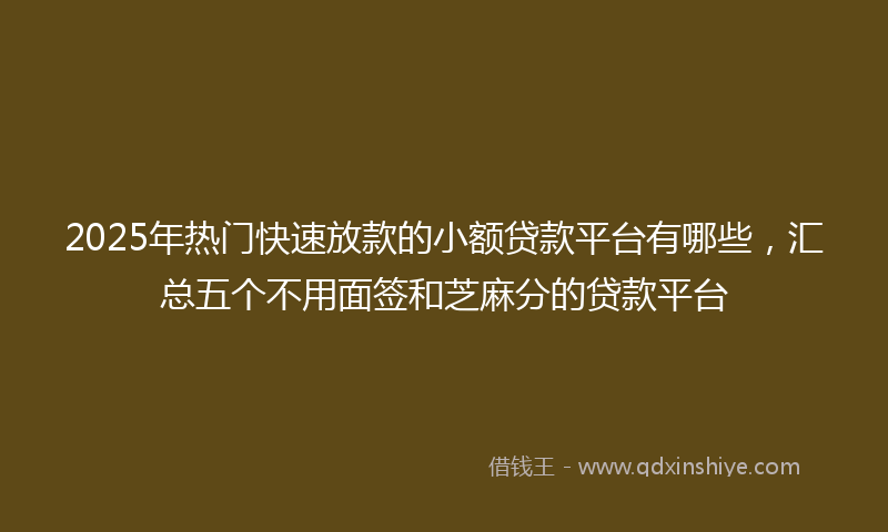 2025年热门快速放款的小额贷款平台有哪些，汇总五个不用面签和芝麻分的贷款平台