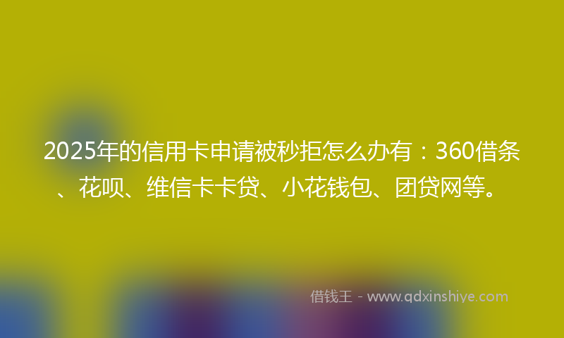 2025年的信用卡申请被秒拒怎么办有：360借条、花呗、维信卡卡贷、小花钱包、团贷网等。