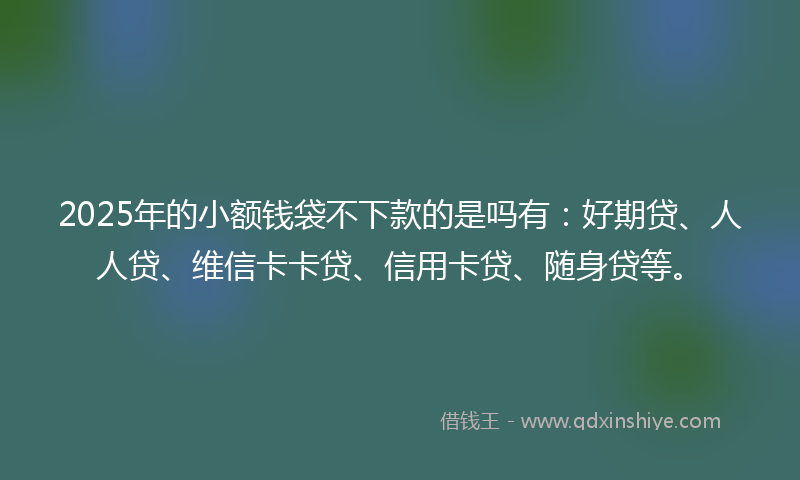 2025年的小额钱袋不下款的是吗有：好期贷、人人贷、维信卡卡贷、信用卡贷、随身贷等。
