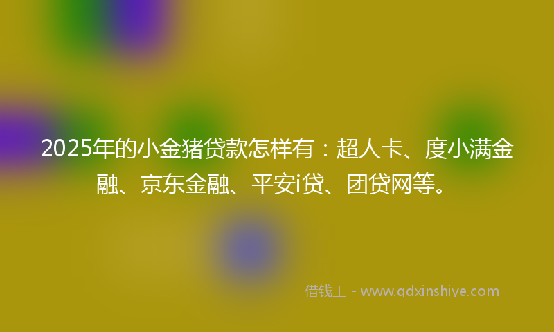 2025年的小金猪贷款怎样有：超人卡、度小满金融、京东金融、平安i贷、团贷网等。