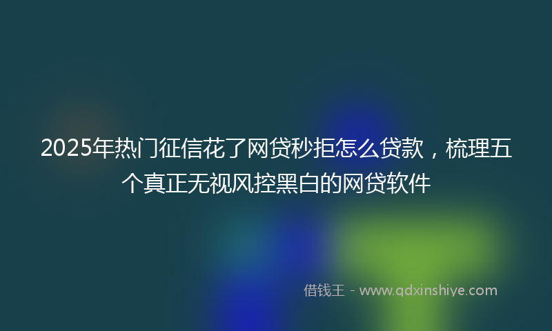 2025年热门征信花了网贷秒拒怎么贷款，梳理五个真正无视风控黑白的网贷软件